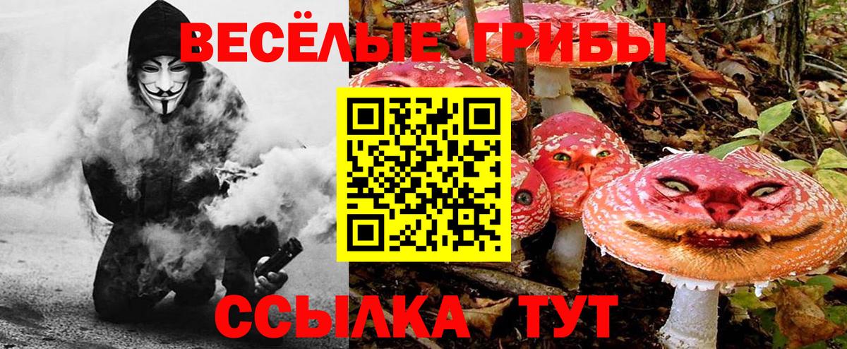 Гашиш  Каннабис  Мефедрон   Новый Уренгой  Вход с VPN  Меф МЯУ МЯУ 
